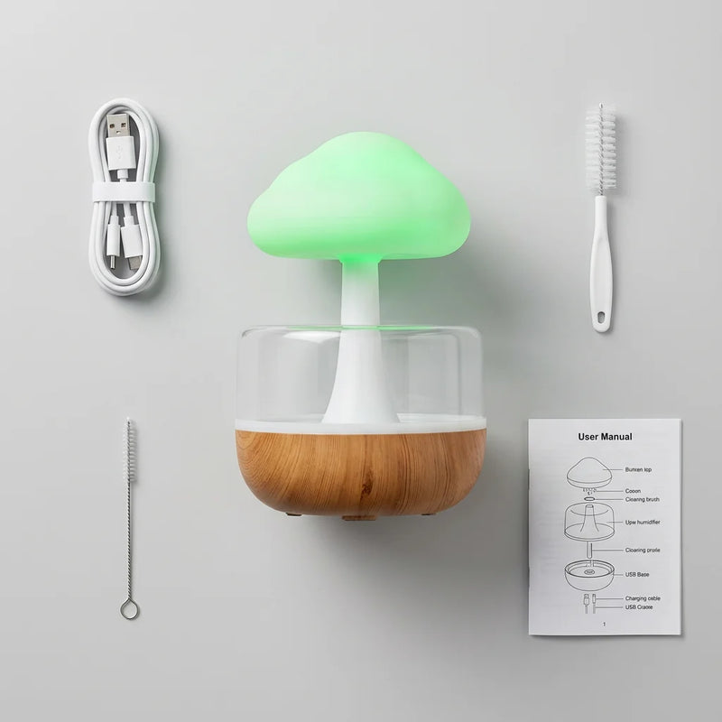 contenu boîte veilleuse bruit de pluie champignon : humidificateur, câble USB-C, brosse nettoyage, tige entretien, manuel utilisation