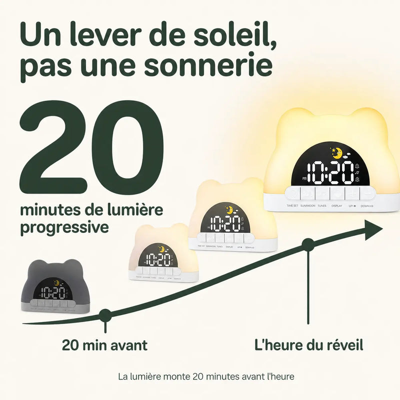Infographie du simulateur d'aube d'un réveil enfant ours, lumière progressive 20 minutes avant l'heure, Tendre Veilleuse