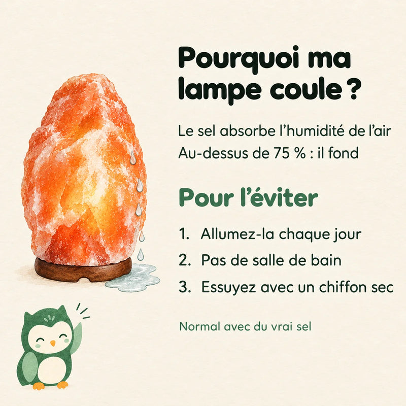 Pourquoi une lampe de sel coule et comment l'éviter : humidité au-dessus de 75 %, trois gestes – Tendre Veilleuse
