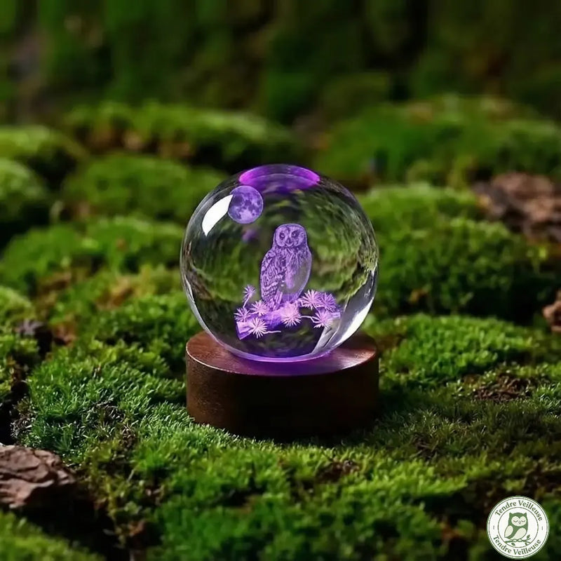Veilleuse hibou 3D boule de cristal K9 éclairée en violet sur base bois, posée sur mousse verte naturelle lampe hibou gravure laser cadeau original