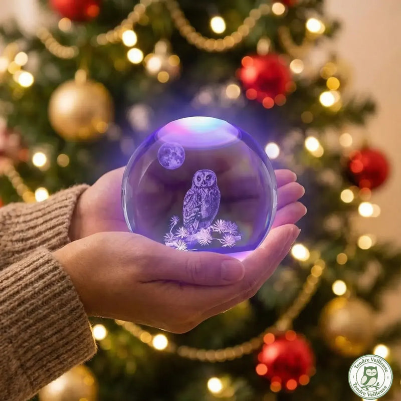 Boule cristal hibou 3D tenue dans une main devant sapin de Noël décoré — idée cadeau veilleuse hibou original moins de 25 euros