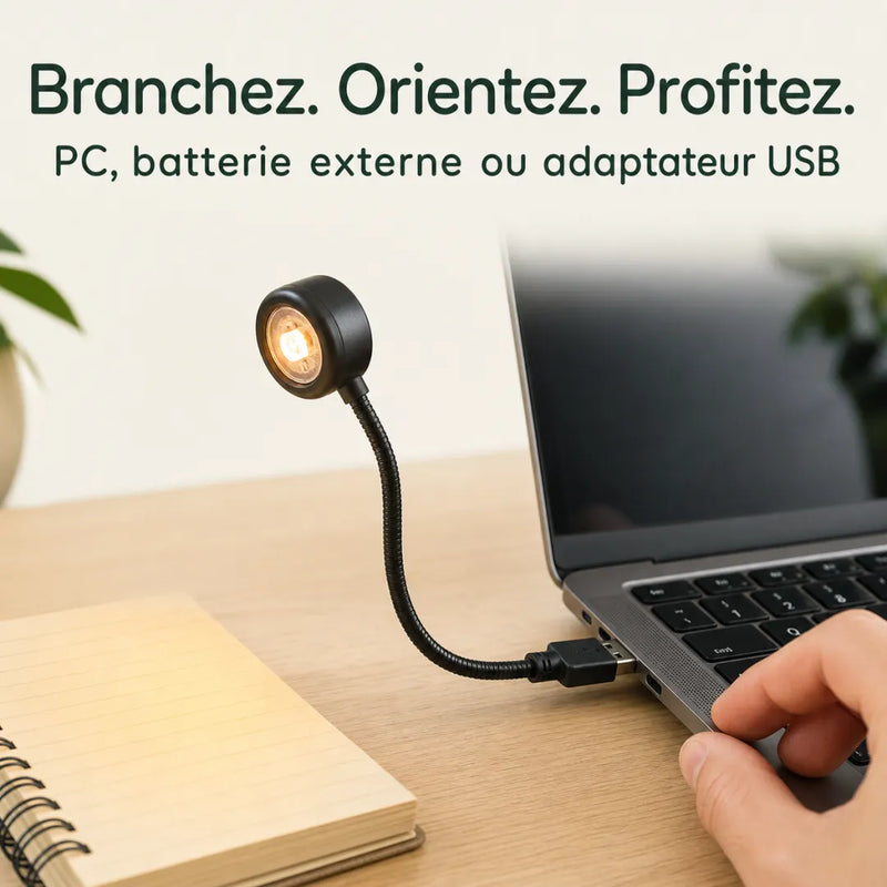 Lampe USB a col flexible branchee sur un ordinateur portable, allumee en dore chaleureux sur un bureau - Tendre Veilleuse