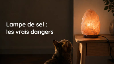 Lampe de sel de l'Himalaya allumée sur une table, cordon visible et chat qui l'observe au premier plan – Tendre Veilleuse