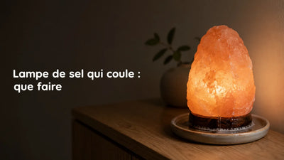 Lampe de sel de l'Himalaya qui coule sur son socle en bois, gouttes d'eau salée et soucoupe sous le socle – Tendre Veilleuse