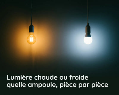 Deux ampoules côte à côte sur un mur sombre, l'une en lumière chaude ambrée et l'autre en lumière froide blanc bleuté, leurs halos se rejoignant au centre