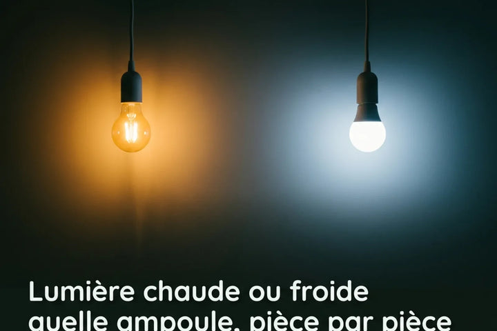 Deux ampoules côte à côte sur un mur sombre, l'une en lumière chaude ambrée et l'autre en lumière froide blanc bleuté, leurs halos se rejoignant au centre