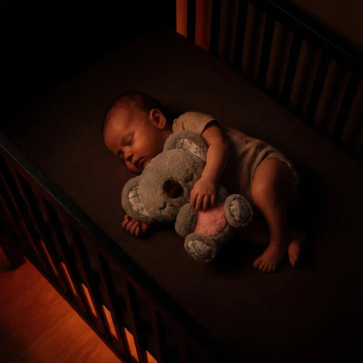 Bébé dort profondément blotti contre la veilleuse koala Koko qui respire et apaise
