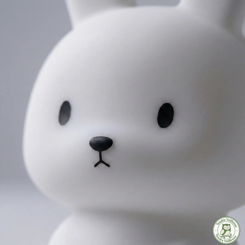 Veilleuse Lapin Bébé Silicone Lumière Tactile