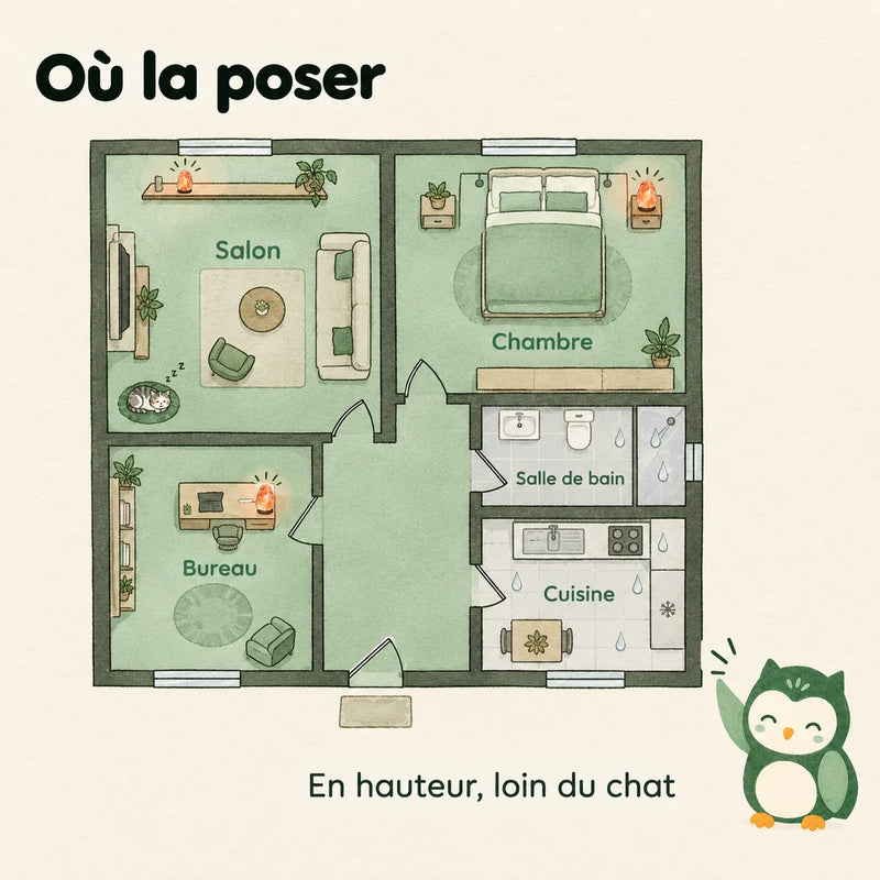 Où poser une lampe de sel : salon, chambre ou bureau, jamais en pièce humide ni à portée du chat – Tendre Veilleuse