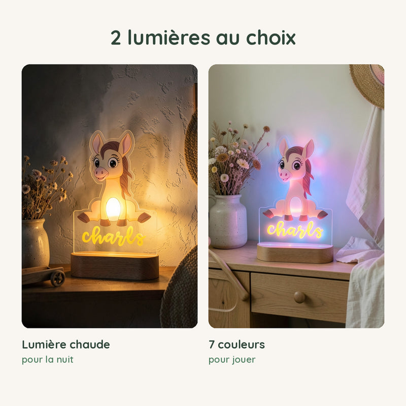 Veilleuse âne personnalisée en lumière chaude pour la nuit ou en 7 couleurs pour jouer