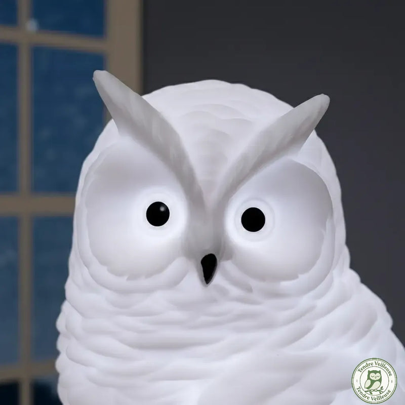 Gros plan visage veilleuse hibou Ohowl grands yeux ronds noirs fond fenêtre nocturne — veilleuse hibou rassurante anti peur du noir enfant