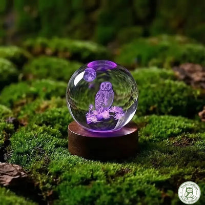 Veilleuse Hibou 3D Cristal K9 – Gravure Laser & LED Multicolore