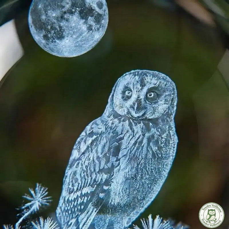 Gros plan gravure laser 3D hibou et pleine lune dans sphère cristal K9 transparent — détail veilleuse hibou LED haute précision
