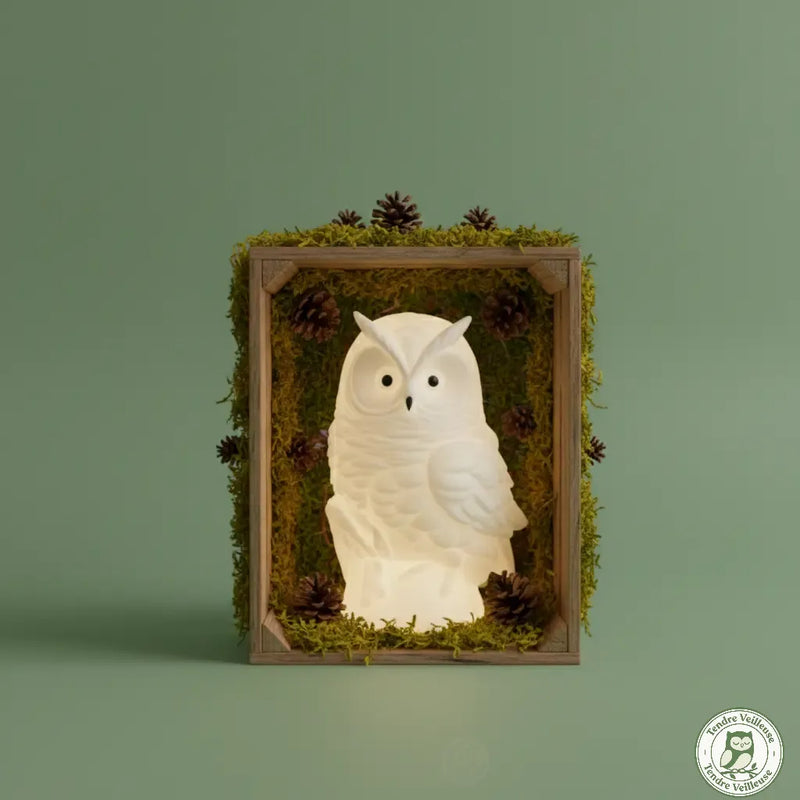 Veilleuse hibou Ohowl blanche allumée dans cadre bois décoratif mousse verte pommes de pin — déco chambre bébé thème forêt nature