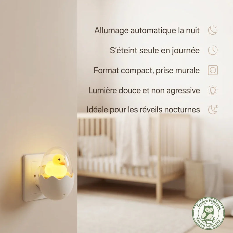 Infographie veilleuse prise canard automatique avec capteur crépusculaire, puissance 1W et certifications CE ROHS CCC
